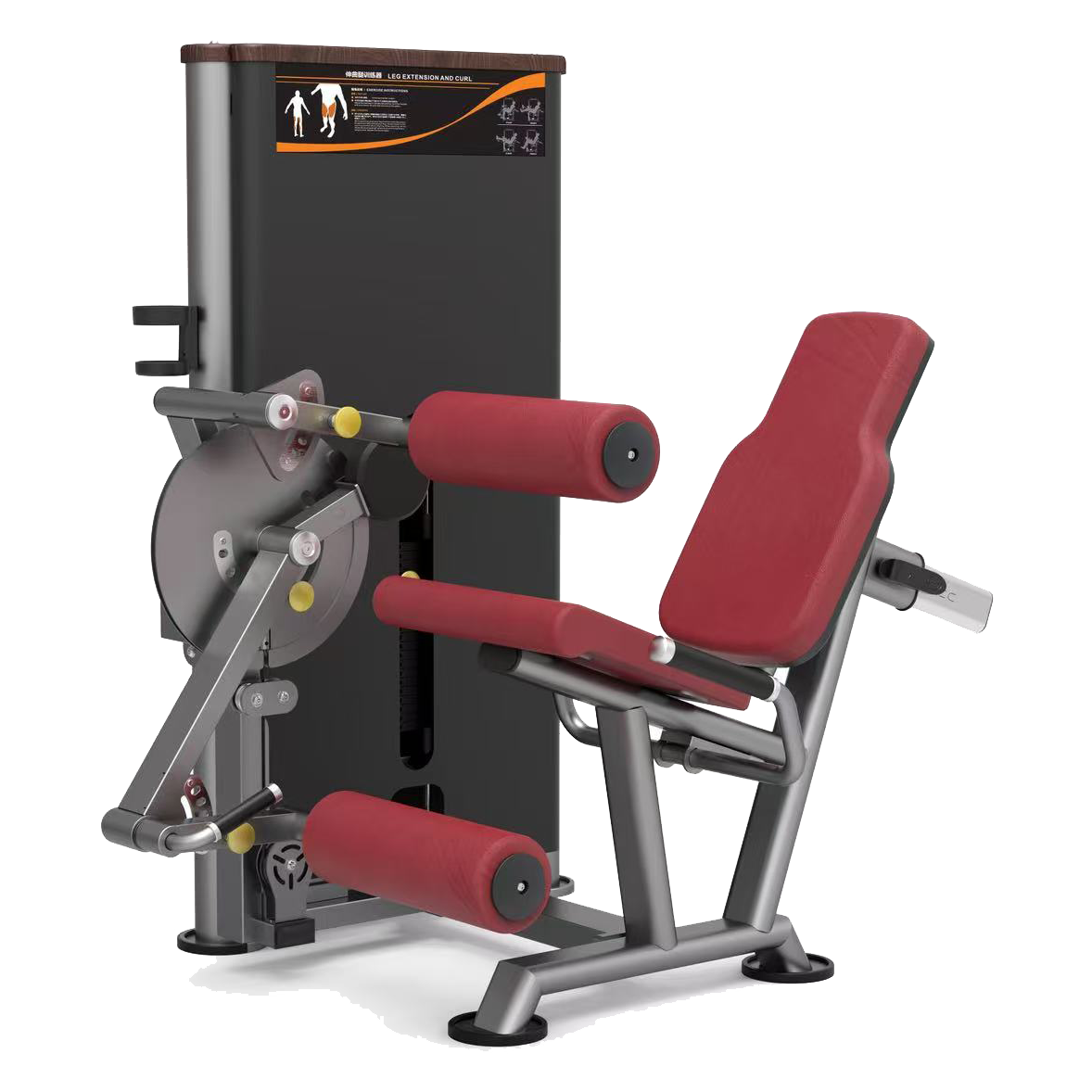 9205伸屈腿訓練器