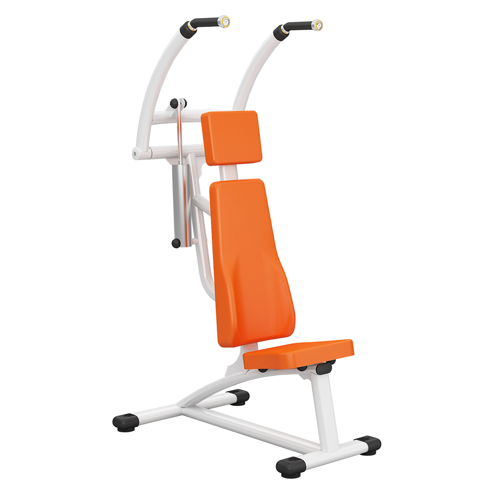 H3肩上（shàng）舉/高拉背訓練器